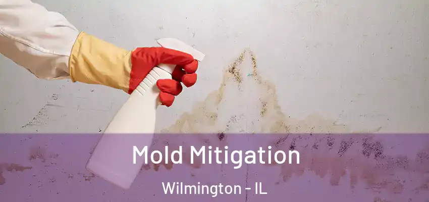  Mold Mitigation Wilmington - IL