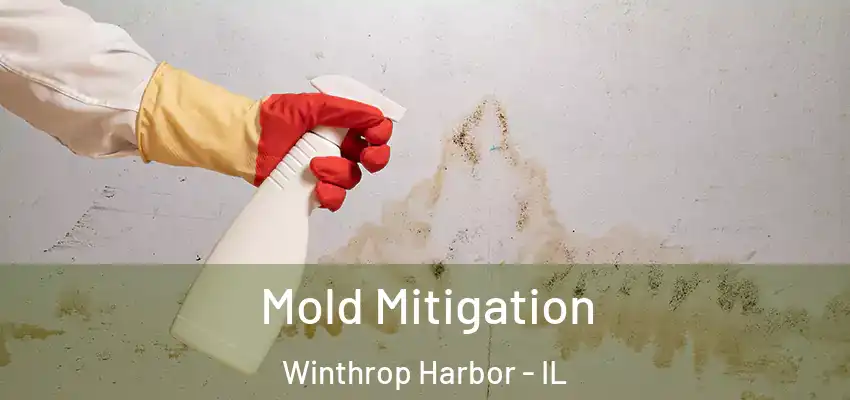  Mold Mitigation Winthrop Harbor - IL