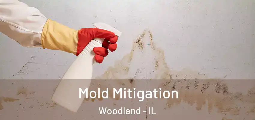  Mold Mitigation Woodland - IL