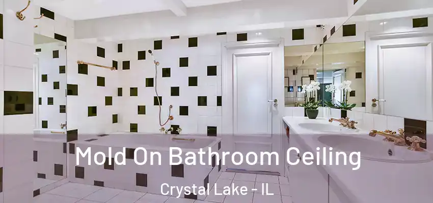 Mold On Bathroom Ceiling Crystal Lake - IL