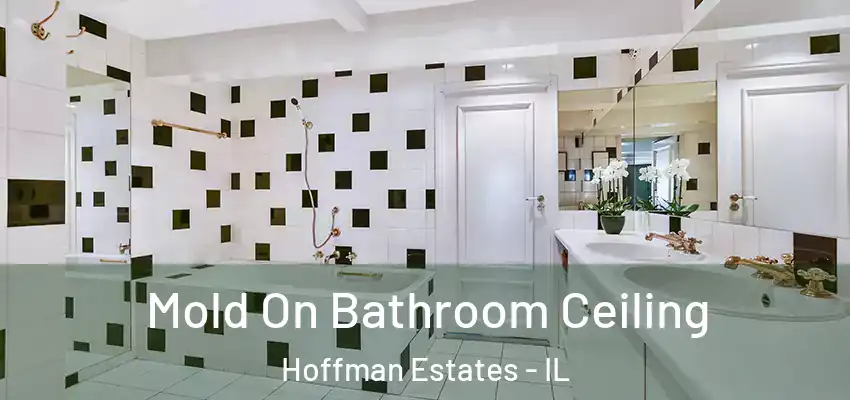  Mold On Bathroom Ceiling Hoffman Estates - IL