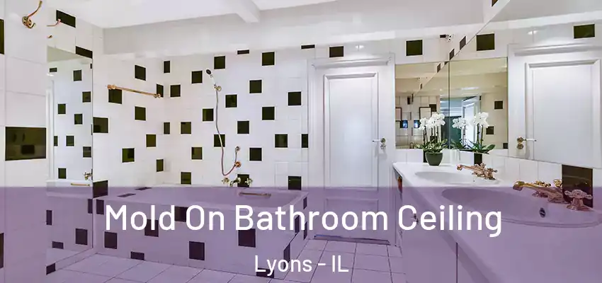 Mold On Bathroom Ceiling Lyons - IL