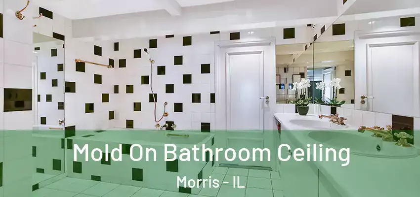  Mold On Bathroom Ceiling Morris - IL
