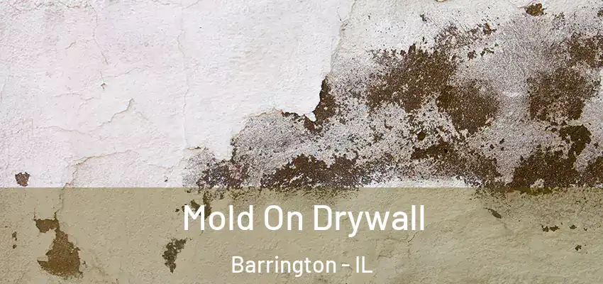  Mold On Drywall Barrington - IL