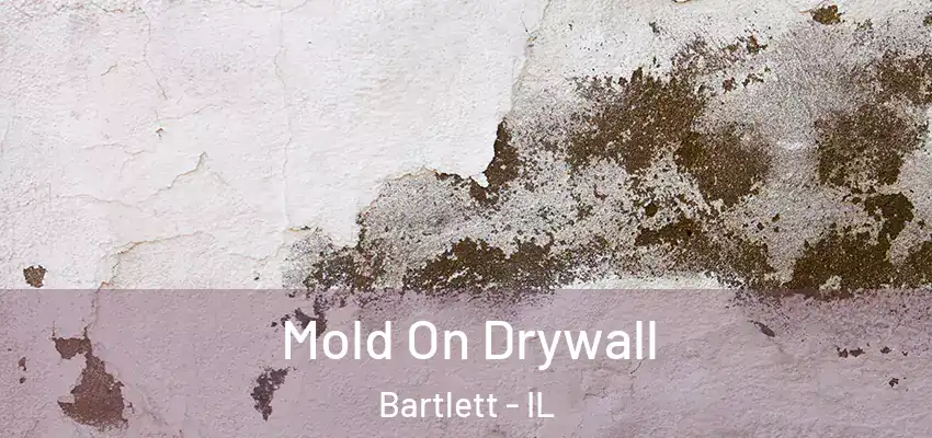  Mold On Drywall Bartlett - IL