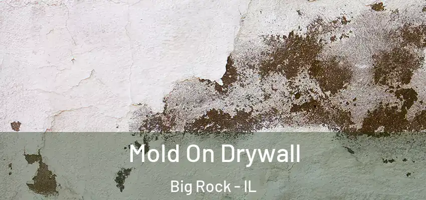  Mold On Drywall Big Rock - IL