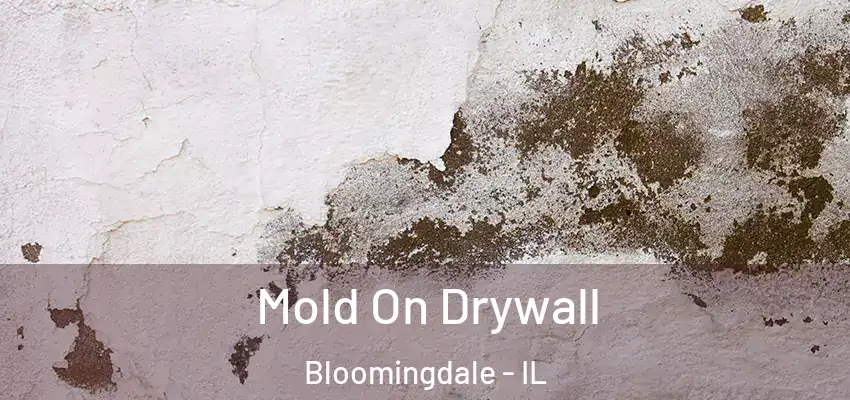 Mold On Drywall Bloomingdale - IL