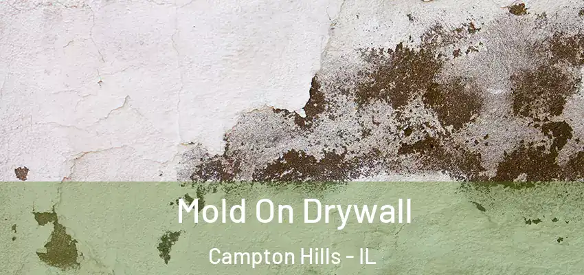  Mold On Drywall Campton Hills - IL