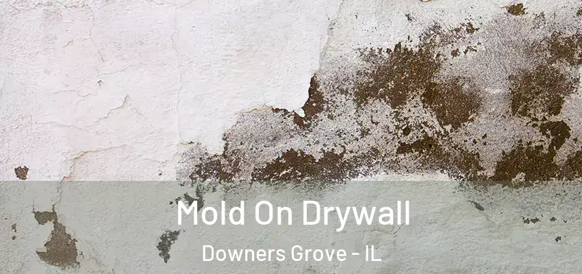  Mold On Drywall Downers Grove - IL