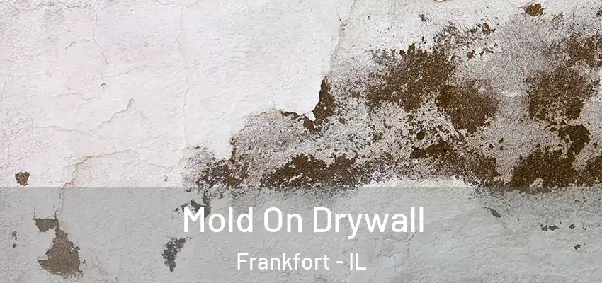  Mold On Drywall Frankfort - IL