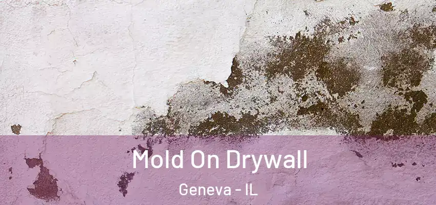  Mold On Drywall Geneva - IL