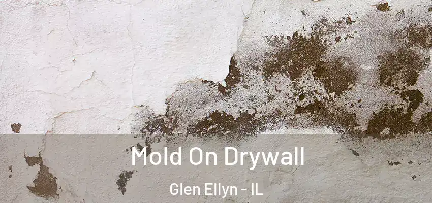  Mold On Drywall Glen Ellyn - IL
