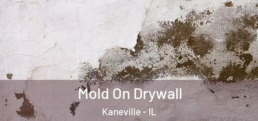 Mold On Drywall Kaneville - IL
