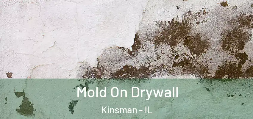  Mold On Drywall Kinsman - IL