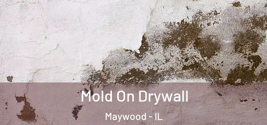  Mold On Drywall Maywood - IL