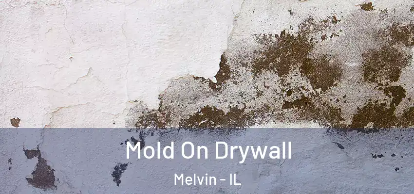  Mold On Drywall Melvin - IL