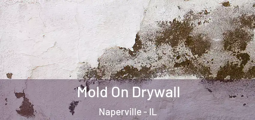  Mold On Drywall Naperville - IL