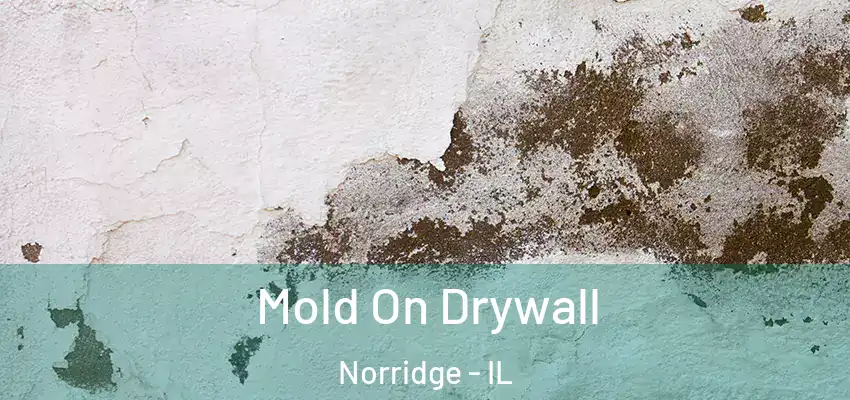  Mold On Drywall Norridge - IL