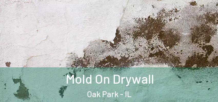  Mold On Drywall Oak Park - IL