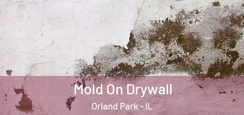 Mold On Drywall Orland Park - IL