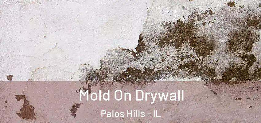  Mold On Drywall Palos Hills - IL