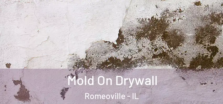  Mold On Drywall Romeoville - IL