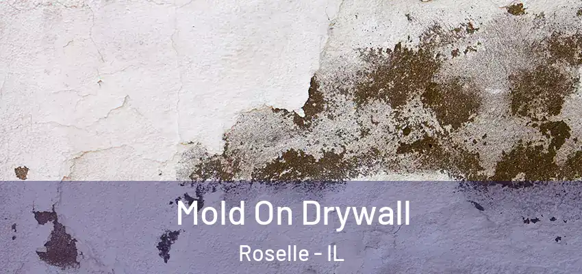  Mold On Drywall Roselle - IL