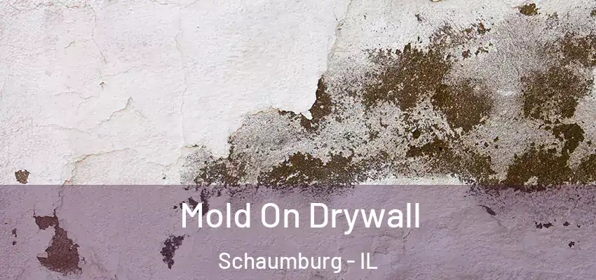  Mold On Drywall Schaumburg - IL