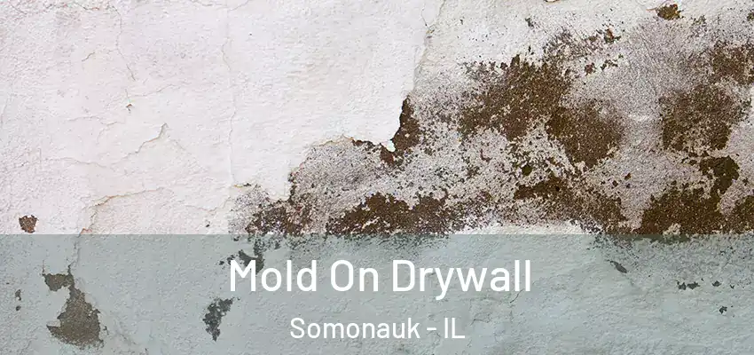  Mold On Drywall Somonauk - IL