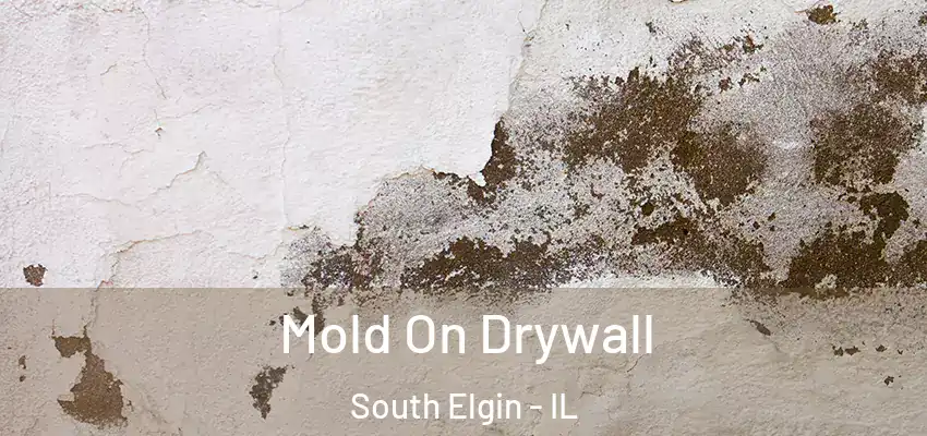 Mold On Drywall South Elgin - IL