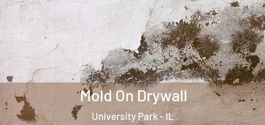  Mold On Drywall University Park - IL