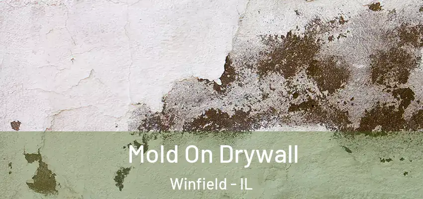  Mold On Drywall Winfield - IL