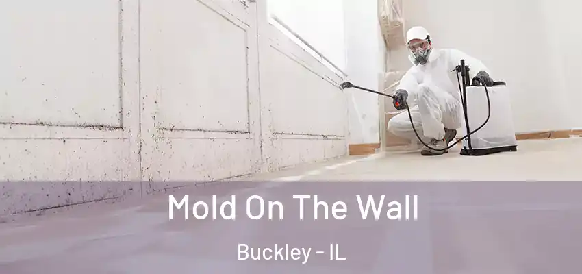  Mold On The Wall Buckley - IL