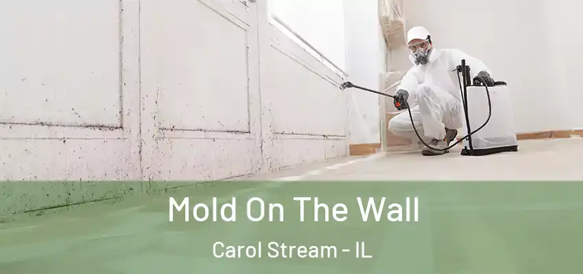  Mold On The Wall Carol Stream - IL