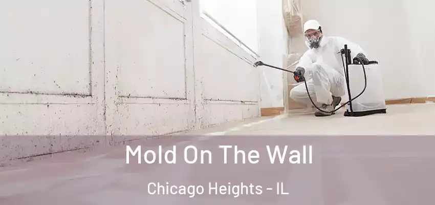 Mold On The Wall Chicago Heights - IL