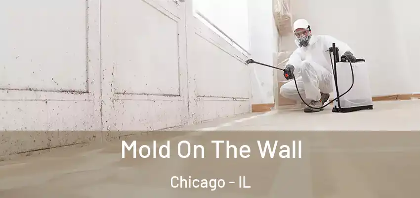 Mold On The Wall Chicago - IL
