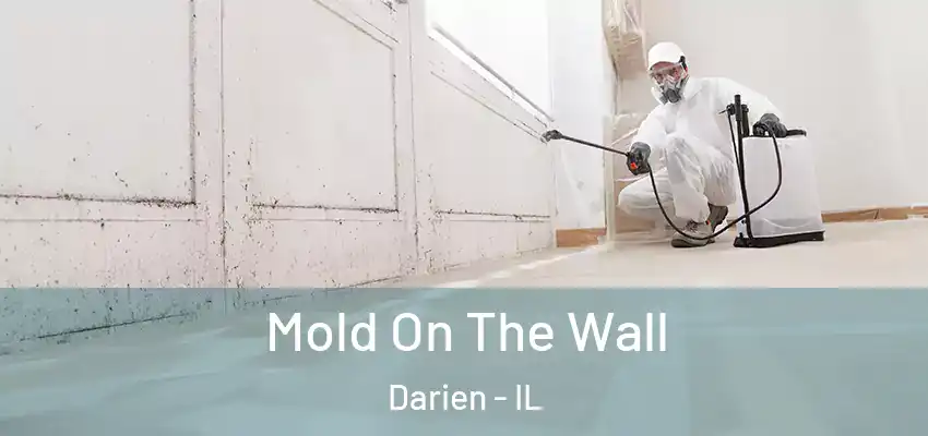  Mold On The Wall Darien - IL
