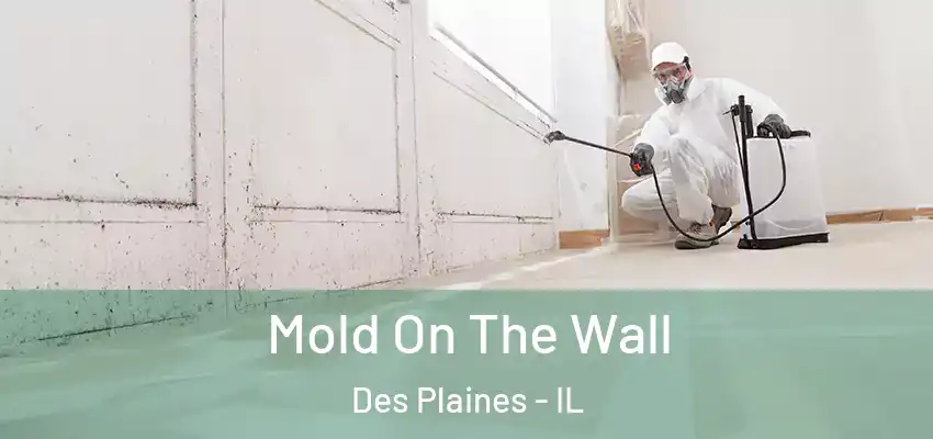  Mold On The Wall Des Plaines - IL