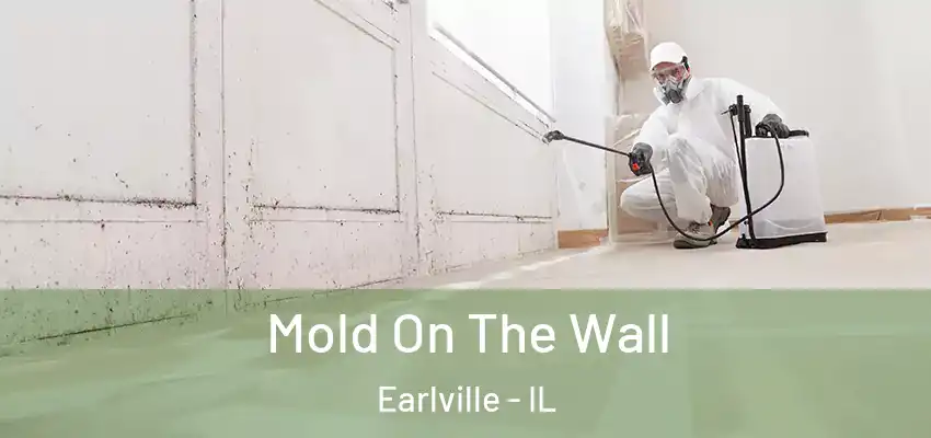  Mold On The Wall Earlville - IL