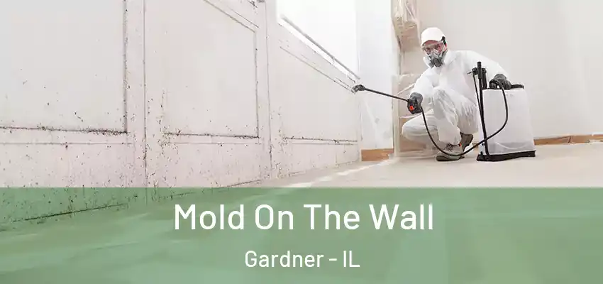  Mold On The Wall Gardner - IL