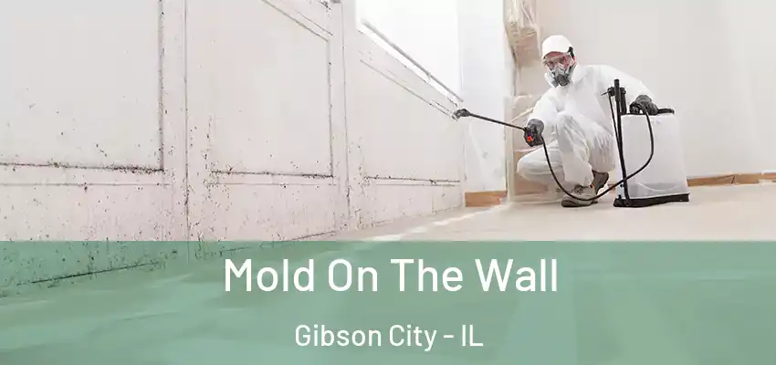  Mold On The Wall Gibson City - IL
