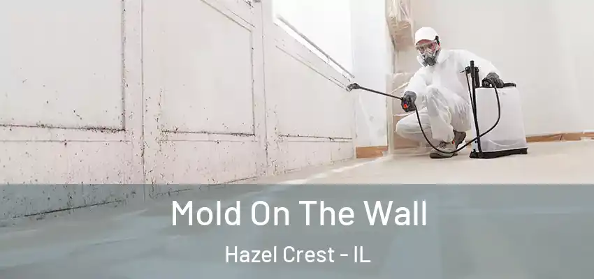  Mold On The Wall Hazel Crest - IL