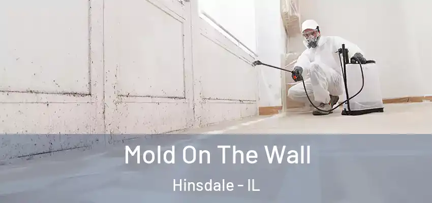  Mold On The Wall Hinsdale - IL