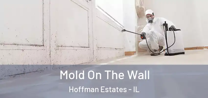  Mold On The Wall Hoffman Estates - IL