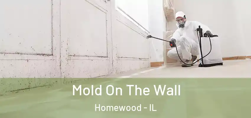  Mold On The Wall Homewood - IL