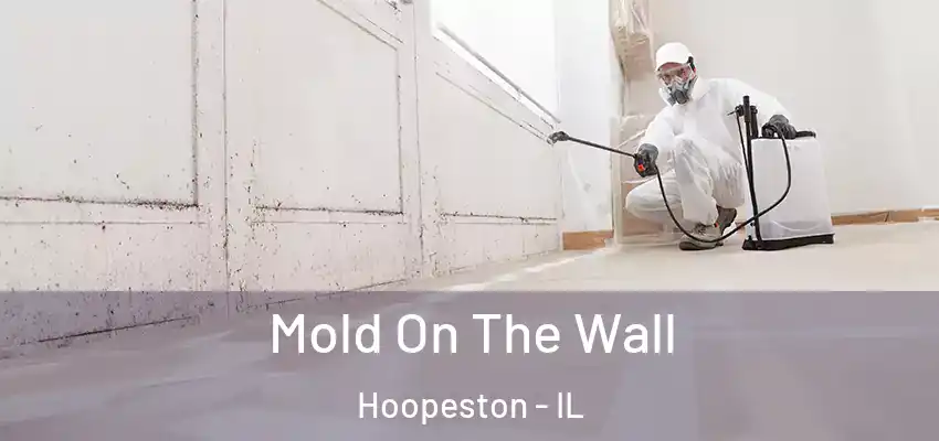  Mold On The Wall Hoopeston - IL