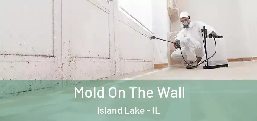  Mold On The Wall Island Lake - IL
