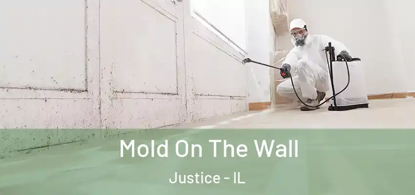  Mold On The Wall Justice - IL