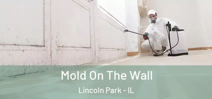 Mold On The Wall Lincoln Park - IL