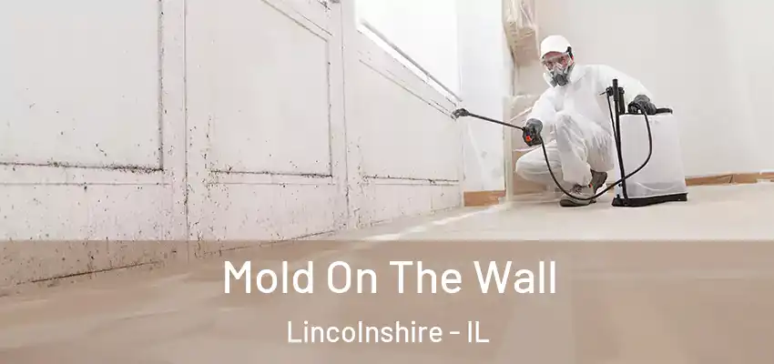  Mold On The Wall Lincolnshire - IL